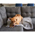 Pet Parents Pet Blanket Large Slate - Poudre Pet & Feed Supply 6